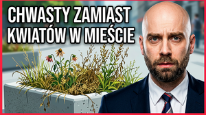 Chwasty w donicach Wyszków – mieszkańcy alarmują o zaniedbaniach