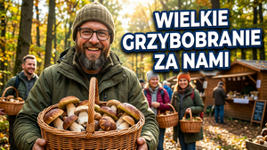 XXIII Wielkie Grzybobranie w Długosiodle: rekord 377,05 kg grzybów