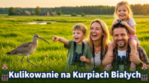 Kulikowanie na Kurpiach Białych. Przyroda Pulw, lokalna kultura i rodzinne spotkanie