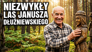 Galeria w lesie Janusza Dłużniewskiego. Rzeźby przy drodze, las i opowieść autora