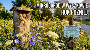 Mikroogród biocenotyczny Wyszków – Rok Po Powstaniu