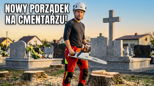 Wycinka drzew na cmentarzu parafialnym - przegląd prac i kosztów w 2026 roku