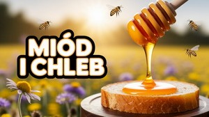 Festiwal Miodu i Chleba w Kamieńczyku