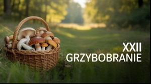 XXII Grzybobranie w Długosiodle: Podsumowanie i relacja
