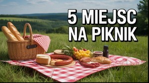 Rowerem do lasu – 5 miejsc na piknik w okolicach Wyszkowa