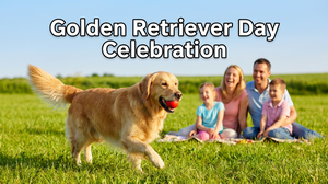 Międzynarodowy Dzień Golden Retrievera - Święto Naszych Złotych Przyjaciół