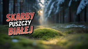 Spędzamy Czas w Lesie – Poszukiwanie Skarbów Puszczy Białej