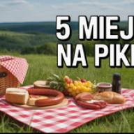 Rowerem do lasu – 5 miejsc na piknik w okolicach Wyszkowa