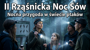 II Rząśnicka Noc Sów – Fascynująca Podróż w Świat Nocnych Ptaków