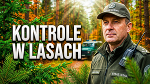 Akcja „Stroisz 26” – zasady kontroli i ochrona drzewostanu
