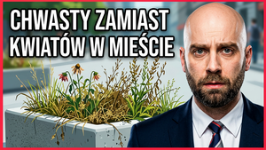 Chwasty w donicach Wyszków – mieszkańcy alarmują o zaniedbaniach