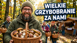 XXIII Wielkie Grzybobranie w Długosiodle: rekord 377,05 kg grzybów